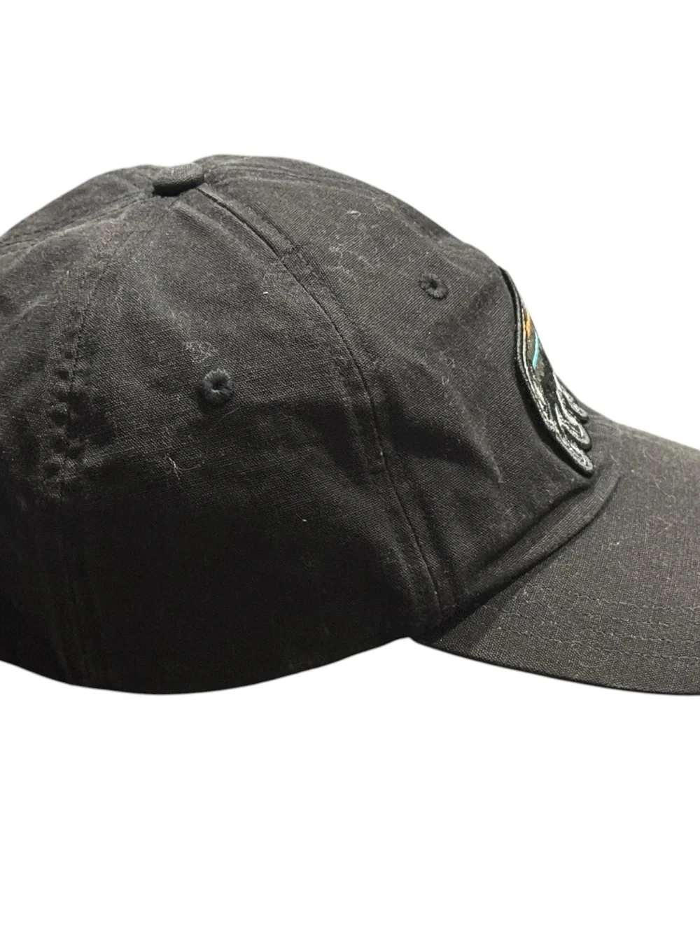 Patagonia Fitz Roy Bison Sttrapback Hat Cap Black